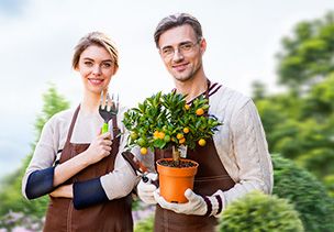 Проект «под ключ» где можно заказать по низкой цене  в Ярославле