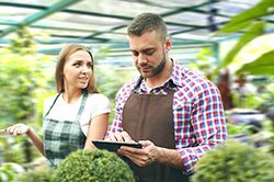 Дендроплан - верное планирование территории и решения этой задачи на уровне  в Ярославле