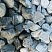 Kamenclub.ru: Щебень галтованный зеленый (змеевик) фр. 50-100 мм.  купить в Ярославле галтовка мраморная зеленый, салатовый мрамор 12 500 руб/т   фото КАМЕНЬ КЛУБ