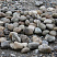 Kamenclub.ru: Речной валун (Ассорти) фр.100-300 мм.  купить в Ярославле галечник серый, темно-серый, светло-серый речная галька крупных размеров 4200 руб/т   фото КАМЕНЬ КЛУБ