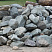 Kamenclub.ru: Гранит скальник (серо-зеленый) фр. 100-500 мм.  купить в Ярославле гранит зеленый, серый, салатовый крупный ландшафтный валун 6 000 руб/т   фото КАМЕНЬ КЛУБ