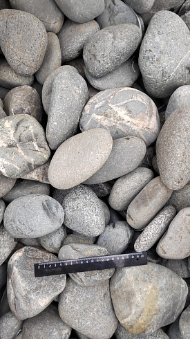 Kamenclub.ru: Галька речная окат (темно-серая) фр. 70-150 мм. купить  в Ярославле галька речная темно-серая, синяя, серая речная галька округлая  8000 руб/т   фото КАМЕНЬ КЛУБ