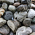 Kamenclub.ru: Речной валун Кабанчик фр.300-500 мм.  купить в Ярославле крупный природный камень галька серый, темно-серый речной валун галечник масштабный 7000 руб/т   фото КАМЕНЬ КЛУБ