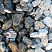 Kamenclub.ru: Щебень галтованный черный (мрамор) фр. 50-100 мм.  купить в Ярославле мрамор черный с белыми прожилками щебень ландшафтный мраморный 15000 руб/т   фото КАМЕНЬ КЛУБ
