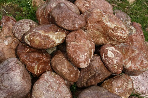 Kamenclub.ru: Розовый валунчик фр.100-300 мм.  купить в Ярославле крупный природный камень розовый, серый молочный красный речной галечник природный 7850 руб/т   фото КАМЕНЬ КЛУБ