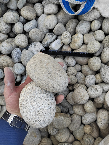 Kamenclub.ru: Галька речная окат (серо-белая) фр. 70-120 мм купить  в Ярославле галька галечник бело-серая, серо-белая, серая, белая речная природная галька  8000 руб/т   фото КАМЕНЬ КЛУБ