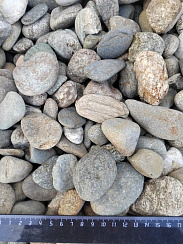 Kamenclub.ru: Галька речная окат (пестрая) фр. 20-40 мм. купить  в Ярославле галька речная пестрая, серая, серые оттенки галька речная окатанная округлая 5000 руб/т   фото КАМЕНЬ КЛУБ