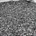 Kamenclub.ru: Щебень крошка черный (мрамор) фр. 10-20 мм.  купить в Ярославле мрамор черный с белыми прожилками, черный, белый каменная ландшафтная декоративная крошка щебня 11000 руб/т   фото КАМЕНЬ КЛУБ