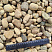 Kamenclub.ru: Галька речная окат рыжая фр. 20-40 мм. купить  в Ярославле галька речная окатанная рыжая желтая серая округлая речная галька 5000 руб/т   фото КАМЕНЬ КЛУБ