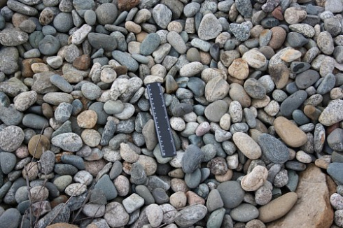 Kamenclub.ru: Галька речная окат (пестрая) фр. 20-40 мм. купить  в Ярославле галька речная пестрая, серая, серые оттенки галька речная окатанная округлая 5000 руб/т   фото КАМЕНЬ КЛУБ