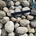 Kamenclub.ru: Галька речная окат (серо-белая) фр. 70-120 мм купить  в Ярославле галька галечник бело-серая, серо-белая, серая, белая речная природная галька  8000 руб/т   фото КАМЕНЬ КЛУБ