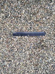 Kamenclub.ru: Галька речная окат (серая) фр.5-10 мм купить  в Ярославле галька речная серая, серый, темно-серый, светло-серый, коричневый речная окатанная галька декоративная ландшатфная 5000 руб/т   фото КАМЕНЬ КЛУБ