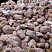 Kamenclub.ru: Розовый валунчик фр.100-300 мм.  купить в Ярославле крупный природный камень розовый, серый молочный красный речной галечник природный 7850 руб/т   фото КАМЕНЬ КЛУБ