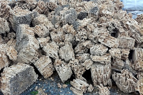 Kamenclub.ru: Крымский природный меотис фр. 100-500 мм.  купить в Ярославле меотис бежевый рыжий молочный желтый ракушечник 4 500 руб/т   фото КАМЕНЬ КЛУБ