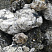Kamenclub.ru: Черный гранит - кварцит фр. 100-500 мм.  купить в Ярославле мрамор гранит черный с белыми прожилками, серый, белый валун скальный колотый 7000 руб/т   фото КАМЕНЬ КЛУБ