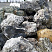 Kamenclub.ru: Черный гранит - кварцит фр. 500-1000 мм.  купить в Ярославле гранит кварцит черный серый белый скальный колотый валун 9750 руб/т   фото КАМЕНЬ КЛУБ