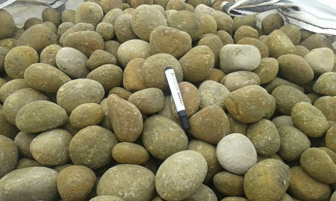 Kamenclub.ru: Песчаник ядра, фр. 100-300 мм  купить в Ярославле песчаник бежевый серый рыжий речная галька 5 000 руб/т   фото КАМЕНЬ КЛУБ