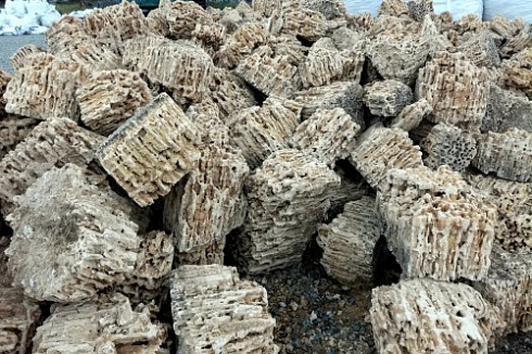 Kamenclub.ru: Крымский природный меотис фр. 100-500 мм.  купить в Ярославле меотис бежевый рыжий молочный желтый ракушечник 4 500 руб/т   фото КАМЕНЬ КЛУБ