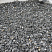 Kamenclub.ru: Щебень крошка черный (мрамор) фр. 40-70 мм.  купить в Ярославле мрамор черный с белыми прожилками, черный, белый декоративный щебень 11000 руб/т   фото КАМЕНЬ КЛУБ