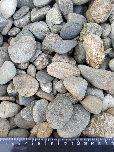 Kamenclub.ru: Галька речная окат (серая) фр.40-60 мм купить  в Ярославле галька речная серый бежевый рыжий коричневый округлый речной камень 5000 руб/т   фото КАМЕНЬ КЛУБ