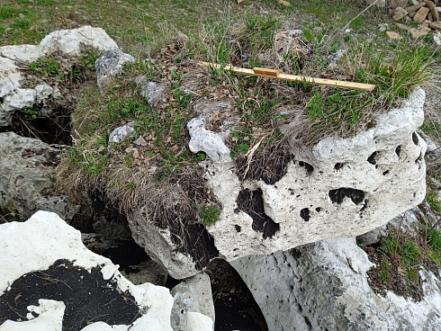 Kamenclub.ru: Выветренный известняк со мхом фр. 100-500 мм.  купить в Ярославле известняк серый белый зеленый валун известняковый крупный 10000 руб/т   фото КАМЕНЬ КЛУБ