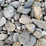 Kamenclub.ru: Галька речная окат (пестрая) фр. 20-40 мм. купить  в Ярославле галька речная пестрая, серая, серые оттенки галька речная окатанная округлая 5000 руб/т   фото КАМЕНЬ КЛУБ