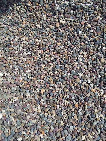 Kamenclub.ru: Галька речная окат цветная фр.5-10 мм. купить  в Ярославле галька речная белый, серый, красноватый, синий, темно-серый речная окатанная галька декоративная 6800 руб/т   фото КАМЕНЬ КЛУБ