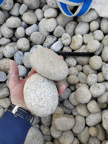 Kamenclub.ru: Галька речная окат (серо-белая) фр. 70-120 мм купить  в Ярославле галька галечник бело-серая, серо-белая, серая, белая речная природная галька  8000 руб/т   фото КАМЕНЬ КЛУБ