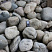 Kamenclub.ru: Темно-серый валунчик фр.100-300 мм.  купить в Ярославле крупный природный камень серый, темно-серый, светло-серый речная галька большого размера окатанная 4500 руб/т   фото КАМЕНЬ КЛУБ