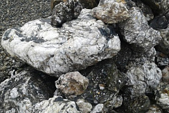 Kamenclub.ru: Черный гранит - кварцит фр. 500-1000 мм.  купить в Ярославле гранит кварцит черный серый белый скальный колотый валун 9750 руб/т   фото КАМЕНЬ КЛУБ