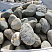 Kamenclub.ru: Речной валун (Ассорти) фр.100-300 мм.  купить в Ярославле галечник серый, темно-серый, светло-серый речная галька крупных размеров 4200 руб/т   фото КАМЕНЬ КЛУБ