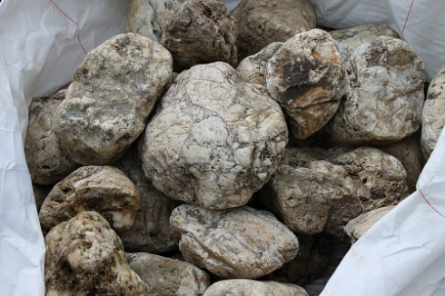 Kamenclub.ru: Кварцевый валунчик фр.100-300 мм.  купить в Ярославле кварц белый, бежевый молочный рыжий крупный природный камень галечник 7850 руб/т   фото КАМЕНЬ КЛУБ