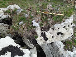 Kamenclub.ru: Выветренный известняк (степной) фр. 500-1500 мм.  купить в Ярославле    10000 руб/т   фото КАМЕНЬ КЛУБ