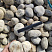 Kamenclub.ru: Галька речная окат (серо-белая) фр. 70-120 мм купить  в Ярославле галька галечник бело-серая, серо-белая, серая, белая речная природная галька  8000 руб/т   фото КАМЕНЬ КЛУБ