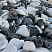 Kamenclub.ru: Мраморная крошка (щебень галтованный микс:: белый-черный) фр.20-40 мм  купить в Ярославле мрамор белый, черный мраморный галтованный щебень 15500 руб/т   фото КАМЕНЬ КЛУБ