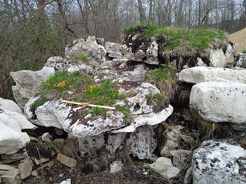 Kamenclub.ru: Выветренный известняк со мхом фр. 100-500 мм.  купить в Ярославле известняк серый белый зеленый валун известняковый крупный 10000 руб/т   фото КАМЕНЬ КЛУБ