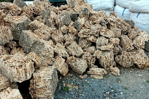 Kamenclub.ru: Крымский природный меотис фр. 100-500 мм.  купить в Ярославле меотис бежевый рыжий молочный желтый ракушечник 4 500 руб/т   фото КАМЕНЬ КЛУБ