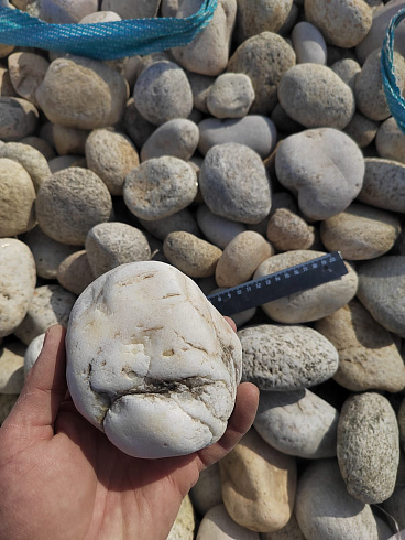 Kamenclub.ru: Галька речная окат (серо-белая) фр. 70-120 мм купить  в Ярославле галька галечник бело-серая, серо-белая, серая, белая речная природная галька  8000 руб/т   фото КАМЕНЬ КЛУБ