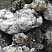 Kamenclub.ru: Черный гранит - кварцит фр. 100-500 мм.  купить в Ярославле мрамор гранит черный с белыми прожилками, серый, белый валун скальный колотый 7000 руб/т   фото КАМЕНЬ КЛУБ