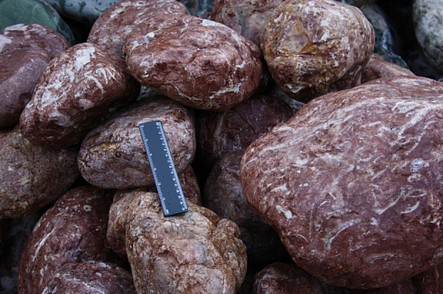 Kamenclub.ru: Розовый валунчик фр.100-300 мм.  купить в Ярославле крупный природный камень розовый, серый молочный красный речной галечник природный 7850 руб/т   фото КАМЕНЬ КЛУБ