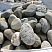 Kamenclub.ru: Речной валун (Ассорти) фр.100-300 мм.  купить в Ярославле галечник серый, темно-серый, светло-серый речная галька крупных размеров 4200 руб/т   фото КАМЕНЬ КЛУБ
