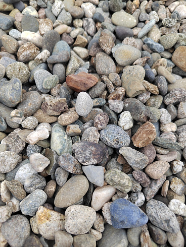 Kamenclub.ru: Галька речная окат (серая) фр.10-20 мм купить  в Ярославле галька речная серая, серый, темно-серый, светло-серый, коричневый ландшафтная декоративная речная окатанная округлая галька 5000 руб/т   фото КАМЕНЬ КЛУБ