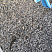Kamenclub.ru: Галька речная окат (серая) фр.3-5 мм купить  в Ярославле галька речная серая бежевый темно-серый окатанный речной камень округлый 9500 руб/т   фото КАМЕНЬ КЛУБ