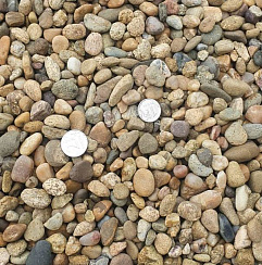 Kamenclub.ru: Галька окат (серо-желтая) фр.10-20 мм. купить  в Ярославле галька серо-желтая, рыжая, серый речная окатанная округлая галька 5000 руб/т   фото КАМЕНЬ КЛУБ