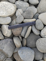 Kamenclub.ru: Галька речная плоская (ассорти) фр. 70-150 мм. купить в Ярославле галька галечник серый белый темно-серый синий светло-серый плоская природная галька  9000 руб/т   фото КАМЕНЬ КЛУБ