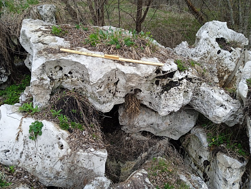 Kamenclub.ru: Выветренный известняк со мхом фр. 100-500 мм.  купить в Ярославле известняк серый белый зеленый валун известняковый крупный 10000 руб/т   фото КАМЕНЬ КЛУБ