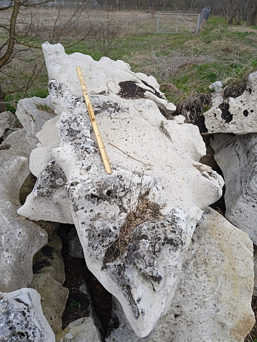 Kamenclub.ru: Выветренный известняк со мхом фр. 100-500 мм.  купить в Ярославле известняк серый белый зеленый валун известняковый крупный 10000 руб/т   фото КАМЕНЬ КЛУБ