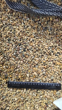 Kamenclub.ru: Галька окат (серо-желтая) фр.5-10 мм. купить  в Ярославле галька речная рыжий, желтый, рыжий, серо-желтый речная окатанная галька декоративная 5000 руб/т   фото КАМЕНЬ КЛУБ