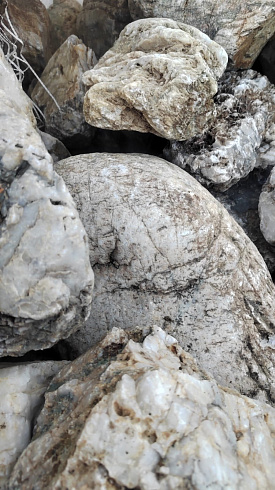 Kamenclub.ru: Кварцевый валунчик фр.100-300 мм.  купить в Ярославле кварц белый, бежевый молочный рыжий крупный природный камень галечник 7850 руб/т   фото КАМЕНЬ КЛУБ