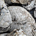 Kamenclub.ru: Кварцевый валунчик фр.100-300 мм.  купить в Ярославле кварц белый, бежевый молочный рыжий крупный природный камень галечник 7850 руб/т   фото КАМЕНЬ КЛУБ